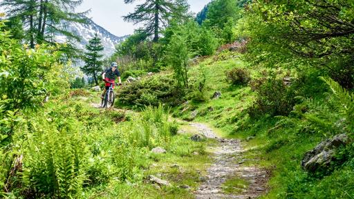 Mountain Bike Guide for Beginners title image